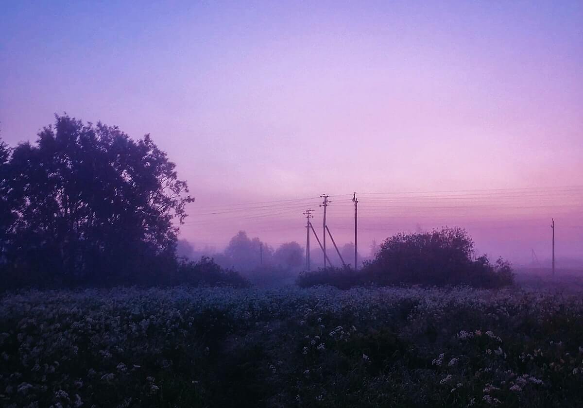 蘑菇视频读法小抄：题眼是复杂问题怎么被压扁，解法是把推断写成假设句